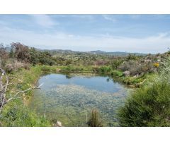 FINCA RÚSTICA EXCEPCIONAL A 1 HORA DE MADRID – NATURALEZA, ENCANTO Y POTENCIAL EN ALMOROX Se venden