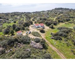 FINCA RÚSTICA EXCEPCIONAL A 1 HORA DE MADRID – NATURALEZA, ENCANTO Y POTENCIAL EN ALMOROX Se venden