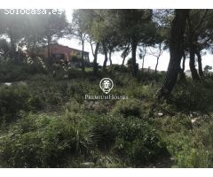 Terreno muy plano con excelentes vistas panorámicas zona muy tranquila