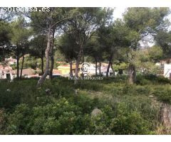 Terreno muy plano con excelentes vistas panorámicas zona muy tranquila