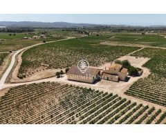 Masia con viñedos en Alt Penedés