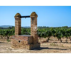 Masia con viñedos en Alt Penedés