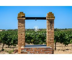 Masia con viñedos en Alt Penedés