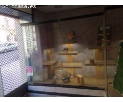 ALQUILER DE LOCAL EN CENTRO-Calle Sto Tomas