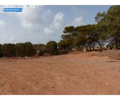 Venta de finca agrícola en Los Belones
