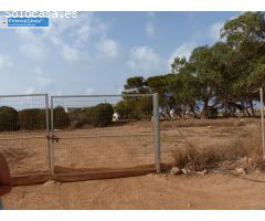 Venta de finca agrícola en Los Belones
