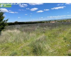 FINCA RUSTICA CERCANA A ARANDA