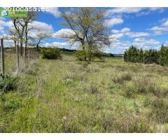 FINCA RUSTICA CERCANA A ARANDA