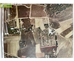 FINCA RUSTICA CERCANA A ARANDA