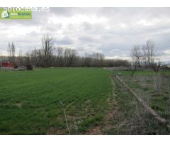 Finca rustica en Venta en Peñaranda de Duero, Burgos