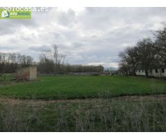 Finca rustica en Venta en Peñaranda de Duero, Burgos