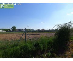 Finca rustica en Venta en Peñaranda de Duero, Burgos