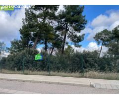 CHALET CON PROYECTO Y TERRENO