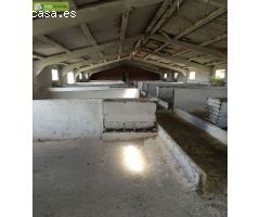 FINCA RÚSTICA CON NAVES Y VIVIENDA EN CARRETERA SINOVAS