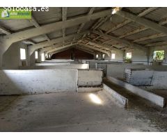 FINCA RÚSTICA CON NAVES Y VIVIENDA EN CARRETERA SINOVAS