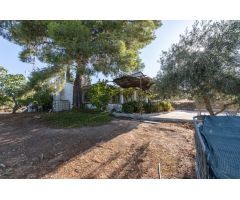 Casa rural con 300 olivos de riego y almendras