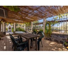Casa rural con 300 olivos de riego y almendras