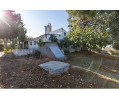 Casa rural con 300 olivos de riego y almendras