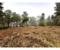 Finca rústica en venta en zona de Cuéllar. Ref.2022
