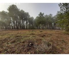 Finca rústica en venta en zona de Cuéllar. Ref.2022