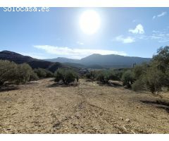 FINCA RUSTICA CERCA DE ANTEQUERA