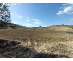 FINCA RUSTICA CERCA DE ANTEQUERA
