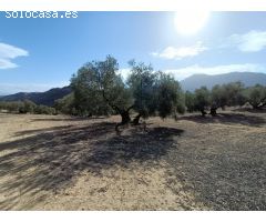 FINCA RUSTICA CERCA DE ANTEQUERA
