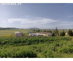 FINCA RUSTICA EN VENTA O ALQUILER CON OPCION A COMPRA CON POSIBILIDAD DE EDIFICAR CASA¡¡¡¡