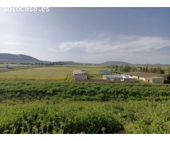 FINCA RUSTICA EN VENTA O ALQUILER CON OPCION A COMPRA CON POSIBILIDAD DE EDIFICAR CASA¡¡¡¡