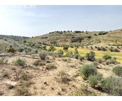 PARCELA EN ZONA URBANIZACION GOLF ANTEQUERA¡¡¡¡¡¡¡¡¡