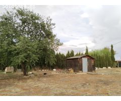 ¿QUIERES UNA PARCELA EN LA ZONA DE AGROBROKER? ¡LA TENEMOS!