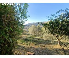 FINCA RUSTICA CON CASA BUSCA PROPIETARIO¡¡¡¡