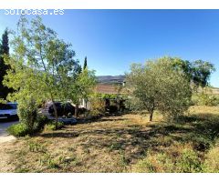 FINCA RUSTICA CON CASA BUSCA PROPIETARIO¡¡¡¡