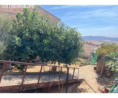 EN EXCLUSIVA SOLAR EN VENTA EN VILLANUEVA DE LA CONCEPCION¡¡¡¡