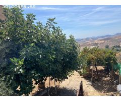 EN EXCLUSIVA SOLAR EN VENTA EN VILLANUEVA DE LA CONCEPCION¡¡¡¡