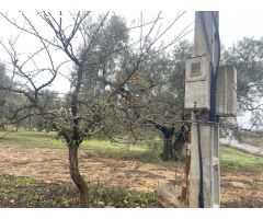 PARCELA RUSTICA EN LA ZONA DE LAS HUERTAS DEL RIO DE ARCHIDONA SALE A LA VENTA¡¡¡¡¡¡¡¡¡¡¡¡¡¡¡¡¡¡¡¡¡¡