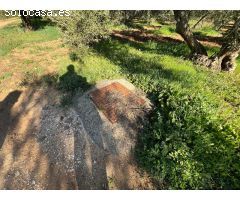 EN EXCLUSIVA PARCELA CON CASA CERCA DE ANTEQUERA¡¡¡¡¡¡¡¡