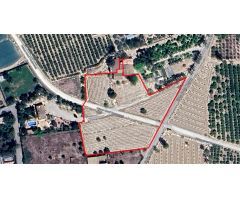 CASA DE CAMPO CON TERRENO PARA REFORMAR A TU GUSTO EN ALGODA-MATOLA.