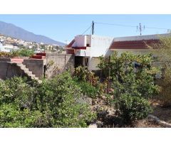 FINCA EN PRODUCCION CON CASA GÜIMAR