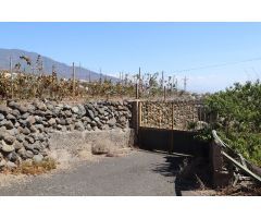 FINCA EN PRODUCCION CON CASA GÜIMAR