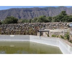 FINCA EN PRODUCCION CON CASA GÜIMAR