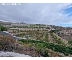 MAGNIFICA FINCA FASNIA