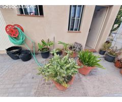 MAGNIFICA FINCA FASNIA