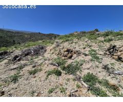 TERRENO RUSTICO LA ZARZA