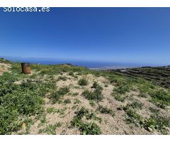 TERRENO RUSTICO LA ZARZA