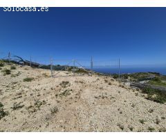 TERRENO RUSTICO LA ZARZA