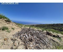 TERRENO RUSTICO LA ZARZA
