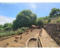 Finca rustica en Venta en La Orotava, Santa Cruz de Tenerife