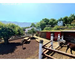 Finca rustica en Venta en La Orotava, Santa Cruz de Tenerife