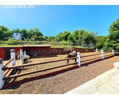 Finca rustica en Venta en La Orotava, Santa Cruz de Tenerife